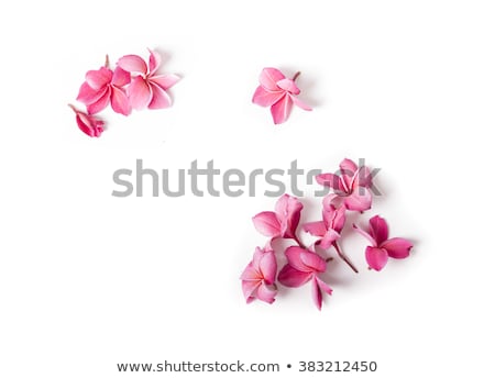 Foto stock: Spa Flowers