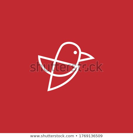 Stock foto: Collection Of Multicolored Birds Vector Logo Template Set