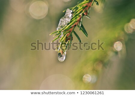 Stockfoto: Nature Background With Bright Sunlight Water Drops And Ice Patt