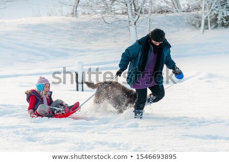 Stock fotó: Girl Sledging With Her Dog