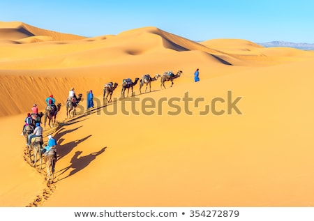 Stock photo: Dunes Morocco Sahara Desert