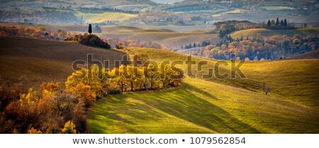 Сток-фото: Tuscan Rural Landscape