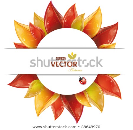 Foto stock: Sunflower With Autumn Leaves Eps 10