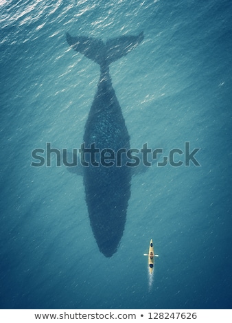 Stock photo: Man With A Kayak And Whale