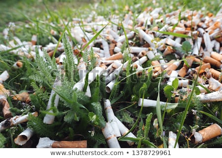 Stok fotoğraf: Cigarette Butt In Leaves