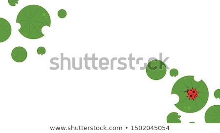 Stock photo: Green Bugs And Lilly