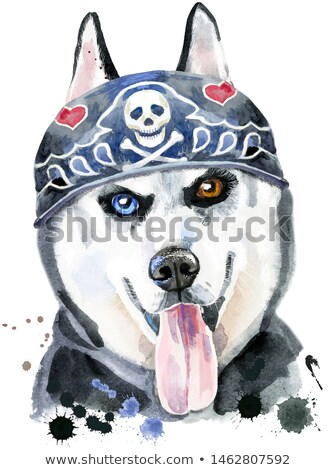 Stockfoto: Watercolor Portrait Of Husky Wearing In Biker Bandana