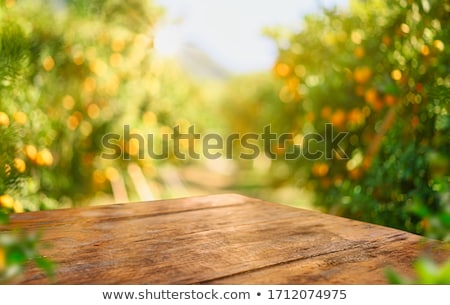 Stock photo: Summer Fruits In A Table Field