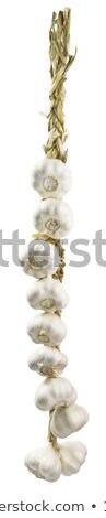 Foto stock: Bunch Of Garlic With Precise