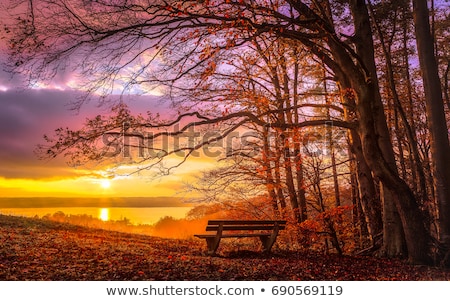 ストックフォト: Lake At Evening In Autumn