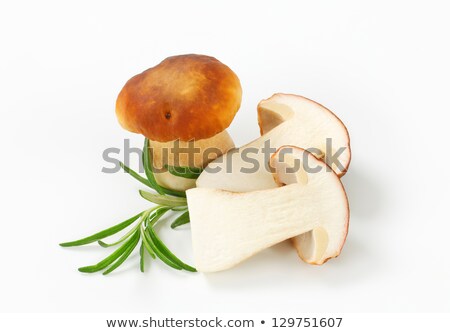 Foto stock: Halved Boletus Mushroom