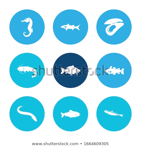 Stockfoto: Catfish Vector Icon Symbol Logo Design Element