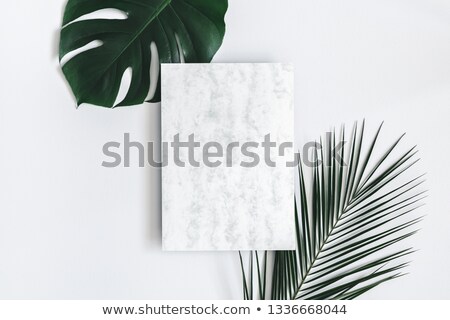 Foto stock: Flat Lay Top View A Minimalistic Style Of Fashion And Beauty Photography Hands Holding Craft Pape