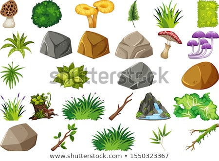 Foto stock: Collection Of Outdoor Nature Themed Objects And Plant Elements
