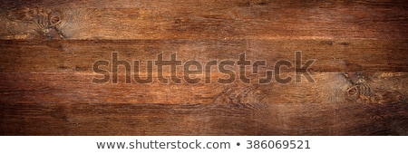 Stock photo: Tropical Varnish