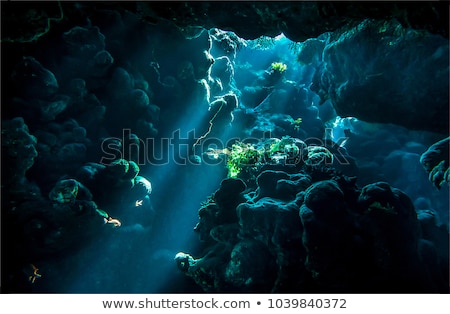 Foto d'archivio: Underwater Cave Landscape Scene
