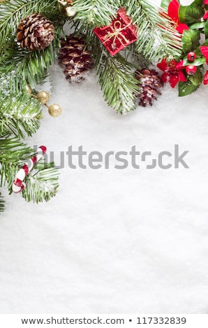 Christmas Tree Fronds Frame Stockfoto © Frannyanne