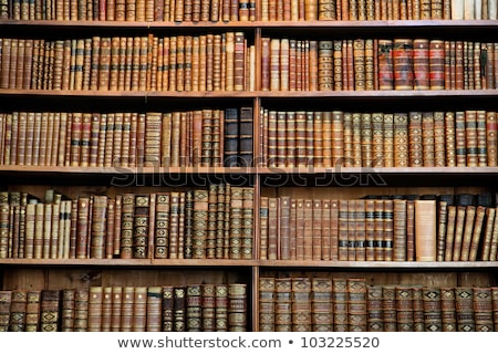 Zdjęcia stock: Old Books On Shelf