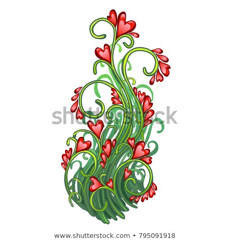 Stockfoto: Fancy A Herbaceous Plant With Flowers In The Shape Of Hearts Isolated On White Background Red Heart