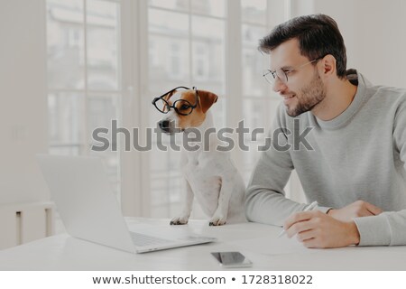 Foto stock: Businessman Concentrated In Display Of Laptop Computer Writes Down Notes Works With Favourite Pet