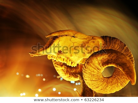 Stock photo: Goat Scull Over Abstract Background