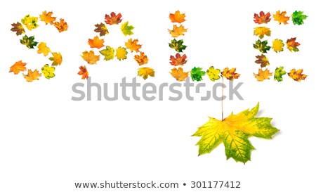 Autumn Maple Leaf And Word S A L E Сток-фото © Lizard