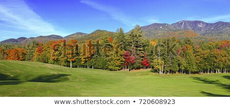 Сток-фото: Autumn Landscape With Birch Forest In The Mountains Of Georgia