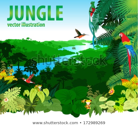 Stok fotoğraf: Tropical Rainforest Landscape With Beautiful Lake Small Waterfall