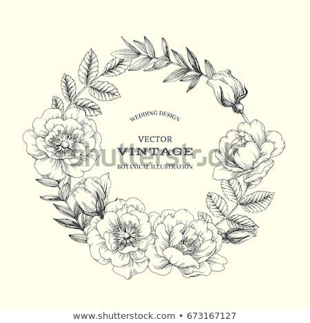 Stockfoto: Background With Blooming Roses Hand Drawing Floral Wreath