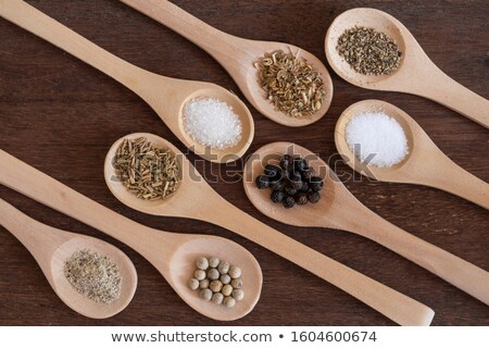 Herb And Spices Salt Stok fotoğraf © sundaemorning