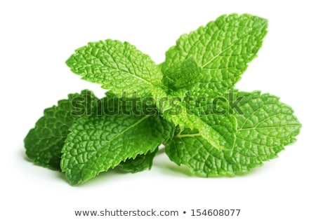 Сток-фото: Fresh Mint Leaves