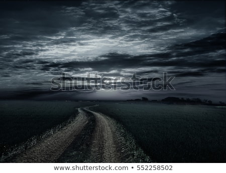 Foto stock: Night Sky With Moon Over Grass