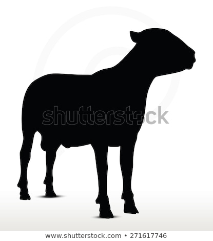 ストックフォト: Sheep Silhouette With Standing Still Pose