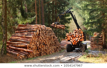 Stock fotó: Technology And Forest Industry