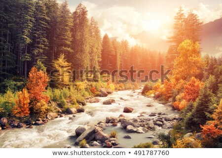 Autumn Mountain Valley View Foto stock © Smileus