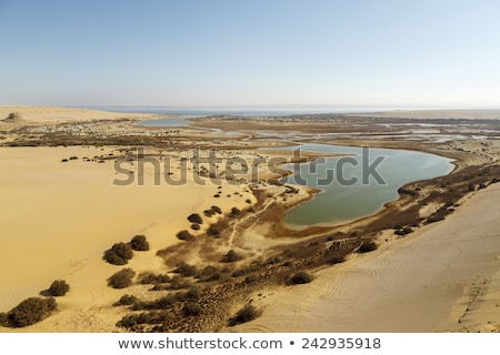 Stockfoto: Lake Moeris