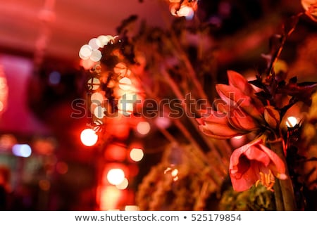Stock photo: Close Up Of A Red Candle