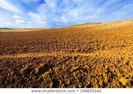 Stock fotó: Valley With Rich Crop Fields And Cloudy Blue Sky