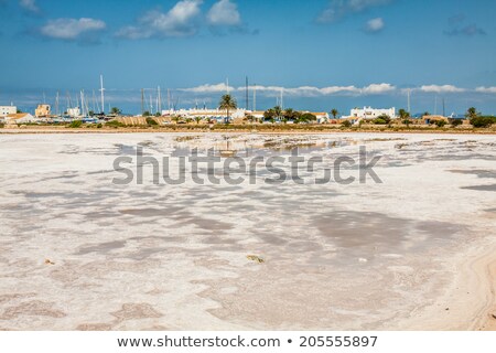 Stock photo: Ses Salines Formentera Colorful Saltworks Horizon