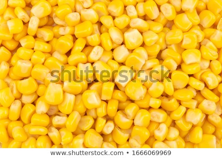 Stok fotoğraf: Sweetcorn