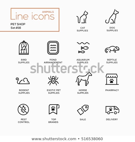 Foto stock: Flat Thin Line Dog Care Vector Web Icons