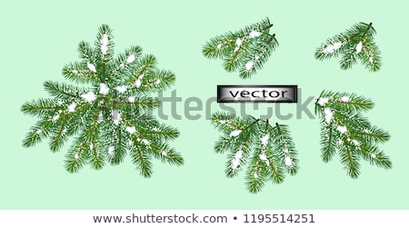 Stock foto: Snow Covered Bush