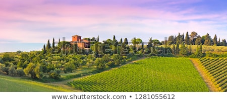 Stock fotó: Village In Tuscany Italy Countryside Landscape With Tuscany Rol