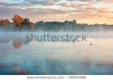 Stok fotoğraf: Early Morning On Bank Of The River