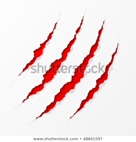 Stock foto: Claws Scratch On Paper Background Vector Damage Illustration