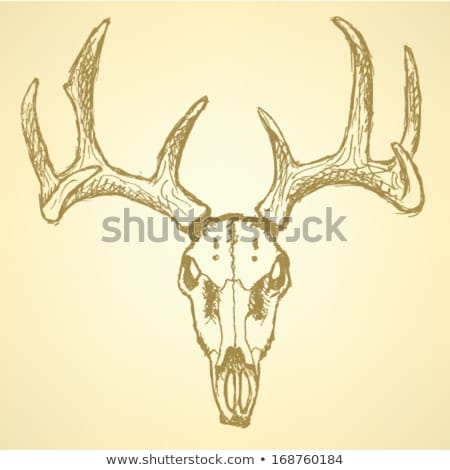Foto stock: Sketch Hand Drawn Hunter Skull