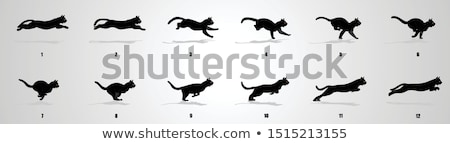 Stock fotó: Cat Runs