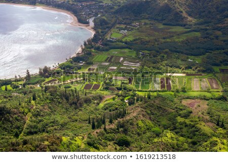 [[stock_photo]]: Mountains Of Hanalei Area Kauai Hawaii