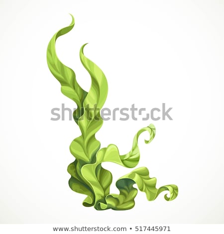 Stock fotó: Water Weed Background