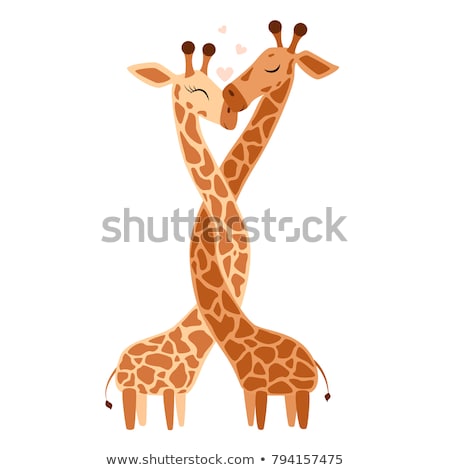 Stok fotoğraf: Wedding Of Giraffe